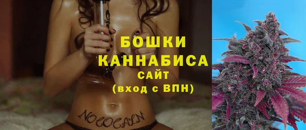 ешки Горняк