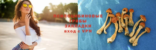 a pvp Горнозаводск