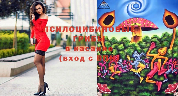 a pvp Горнозаводск