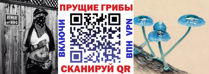 где купить наркоту  Коломна  Псилоцибиновые грибы мицелий 